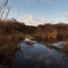 Borkum: herbstliche Impressionen