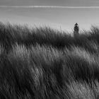 Borkum: herbstliche Impressionen IV