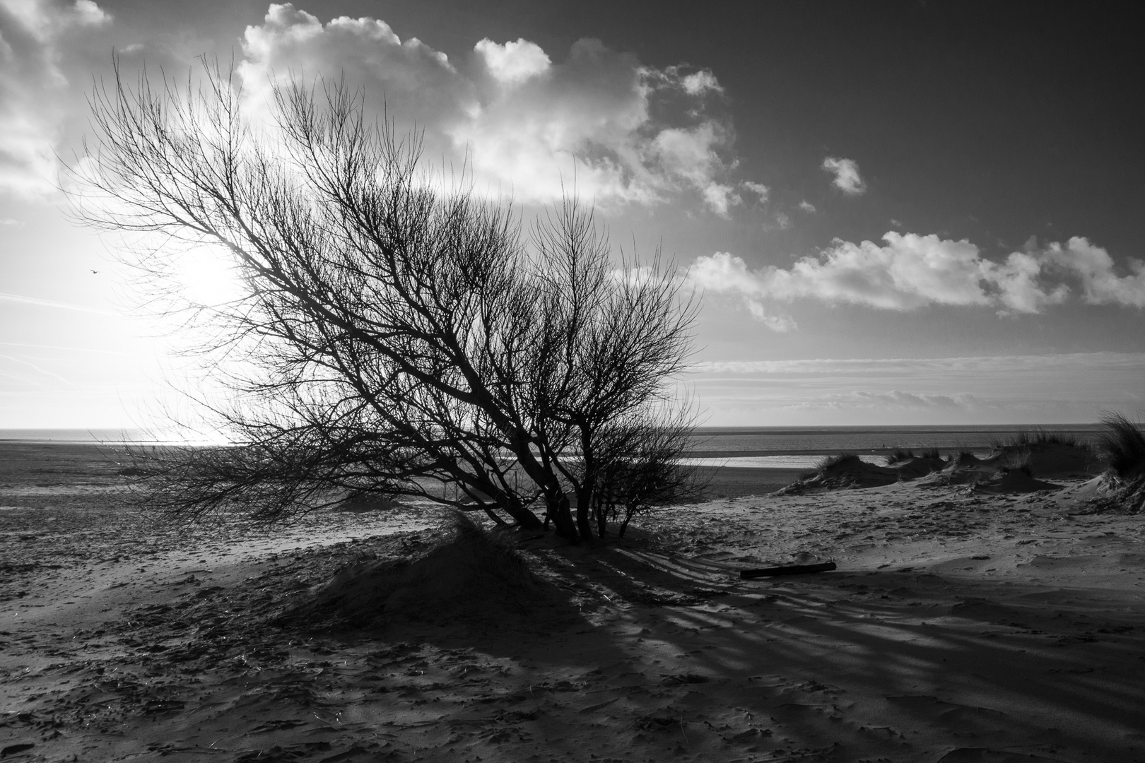 Borkum: herbstliche Impressionen VI