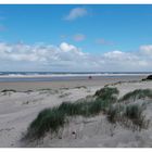 Borkum - Heute Vormittag machte eine Wanderung am Nordstrand wieder Spaß