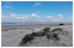 Borkum - Heute Vormittag machte eine Wanderung am Nordstrand wieder Spaß