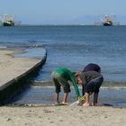 Borkum - Hobby- und Berufsfischer