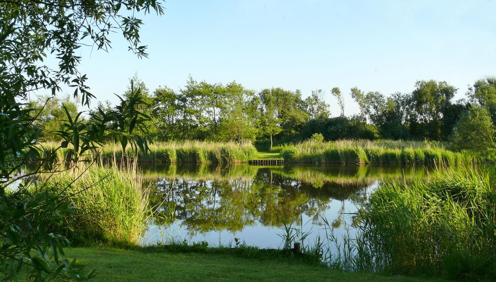 Borkum - Idylle am Sportfischerteich