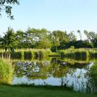 Borkum - Idylle am Sportfischerteich