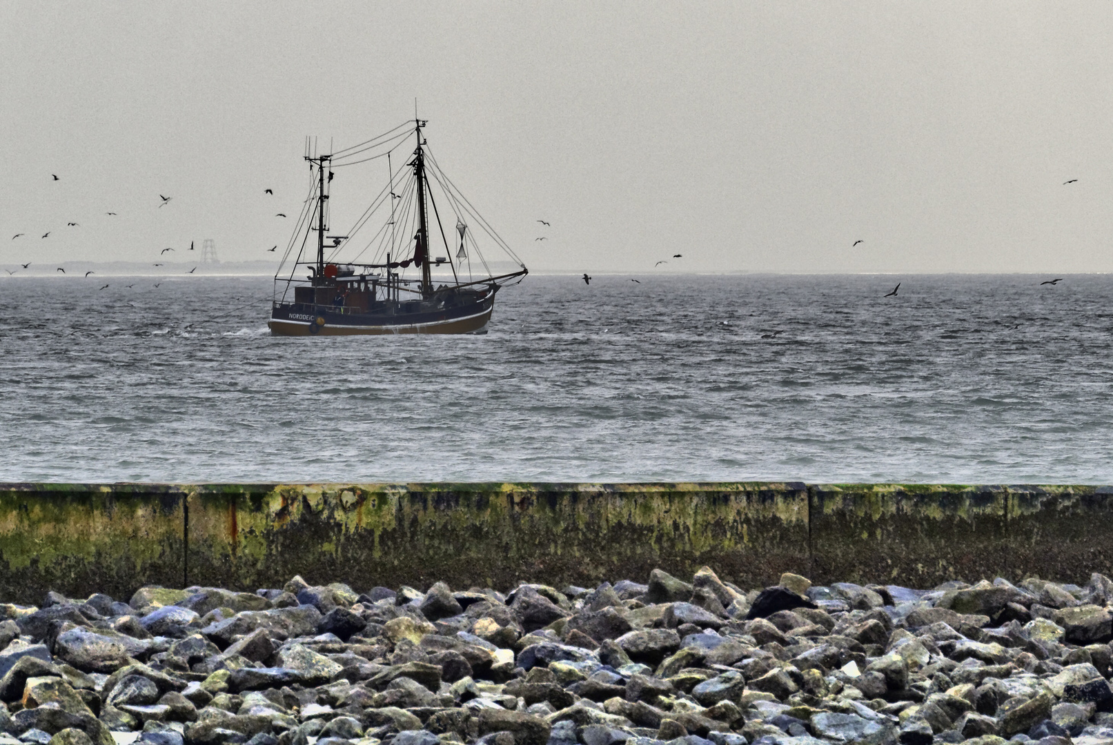 Borkum III