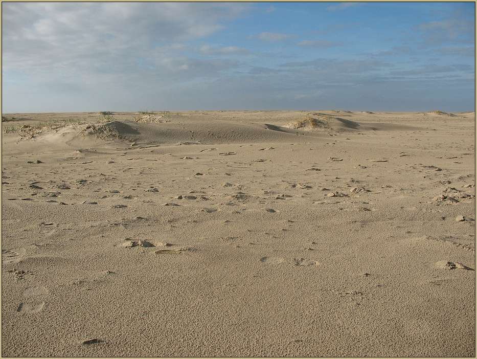 Borkum im November IV