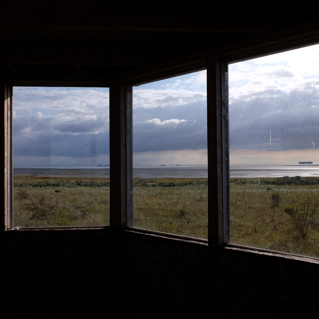 Borkum im Quadrat