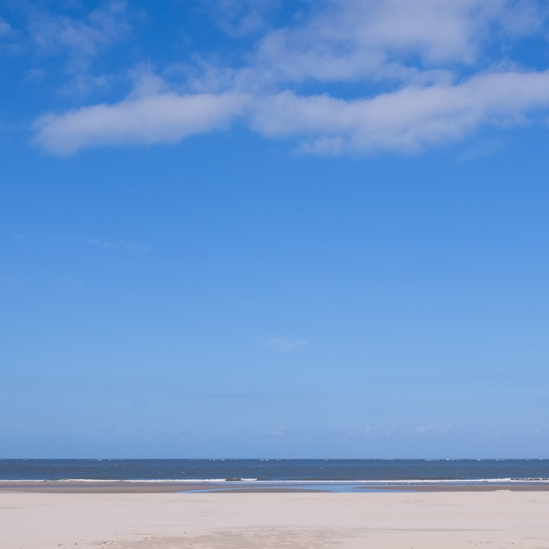 Borkum im Quadrat