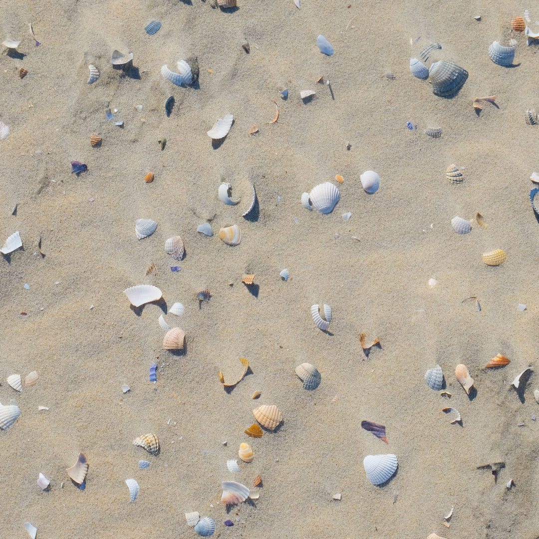 Borkum im Quadrat