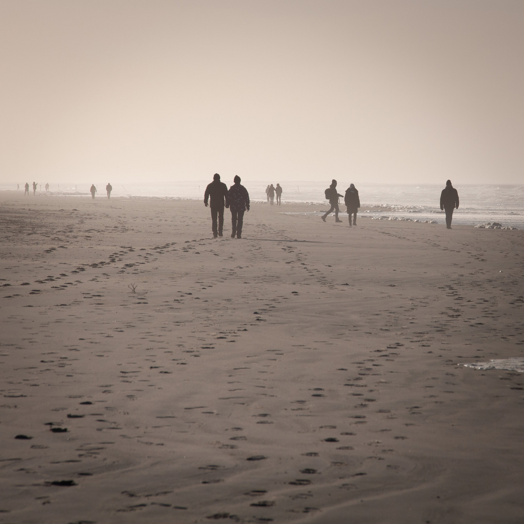 Borkum im Quadrat