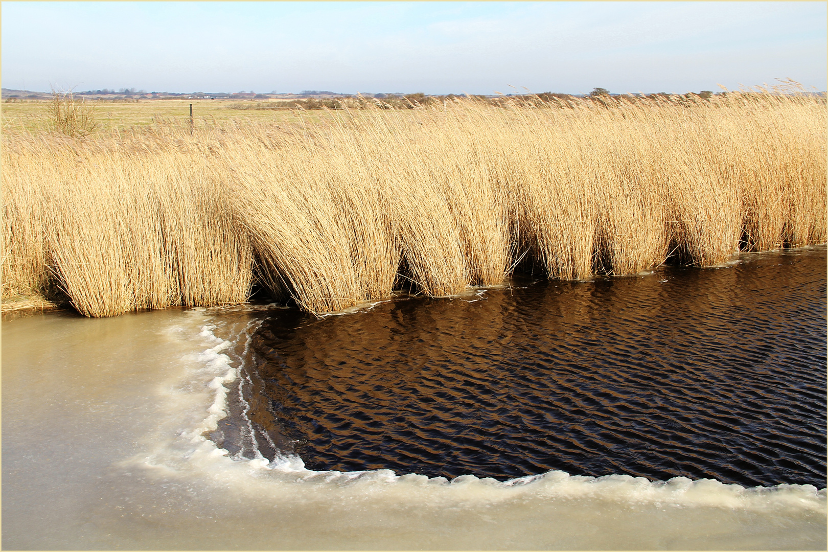 Borkum im Winter 2011... Foto 3