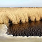 Borkum im Winter 2011... Foto 3