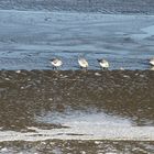 Borkum im Winter 2011... Foto 5