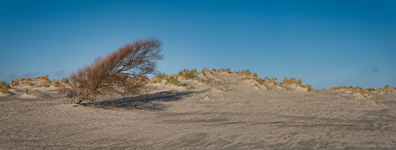 Borkum im Winter