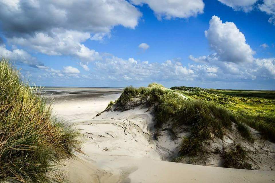 Borkum: immer eine Reise wert! 