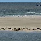 Borkum Impressionen 