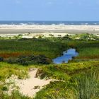 Borkum Impressionen 