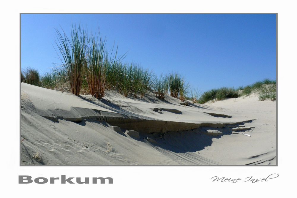 Borkum - In den Dünen