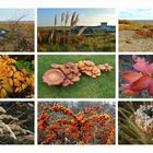 Borkum - Inselherbst