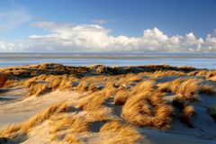 Borkum ist und bleibt "Meine Insel"