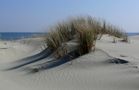 Borkum - Kleine Düne by Reinhold Müller 