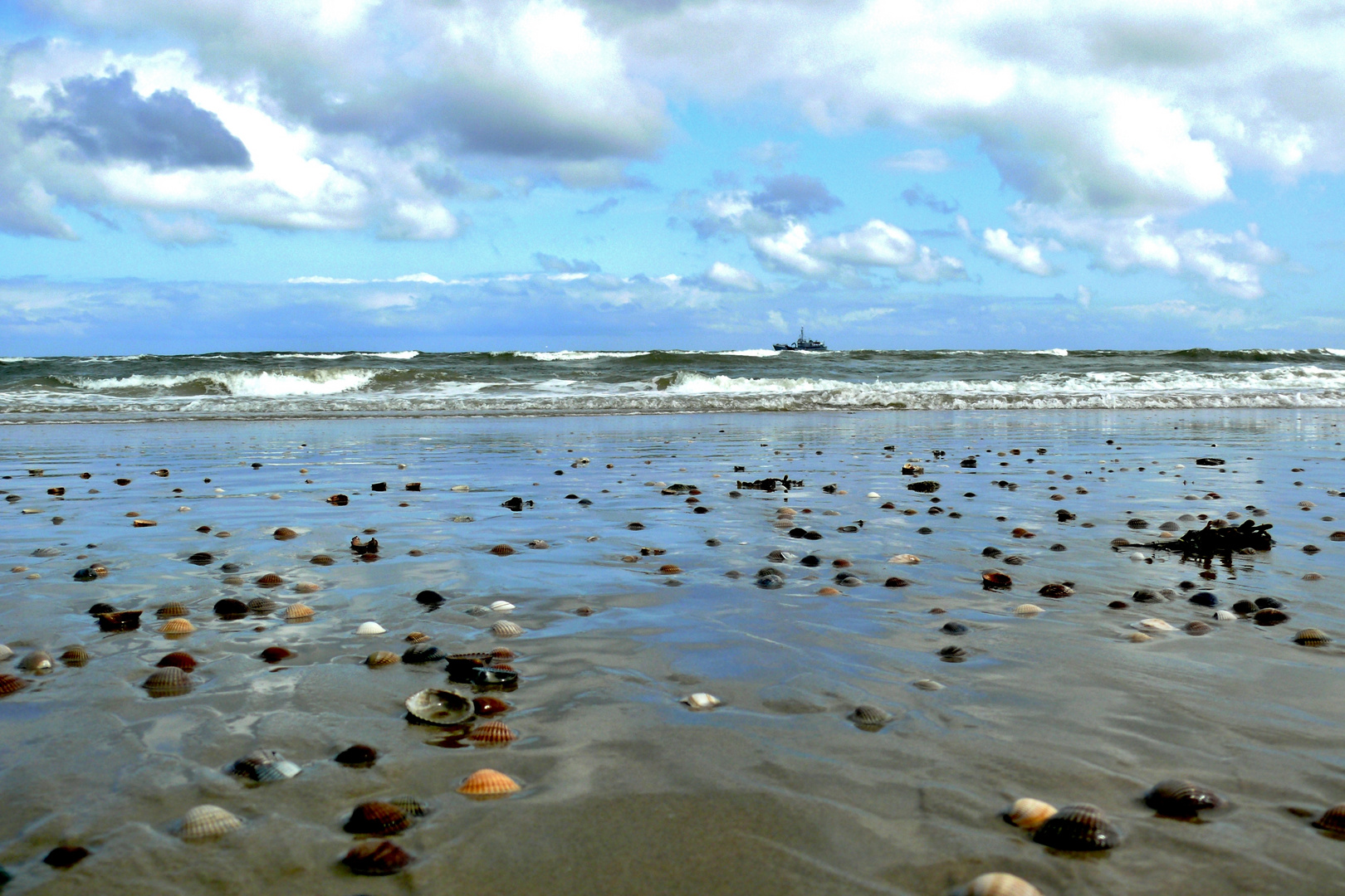 Borkum Leben am Südstrand Foto &