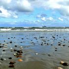 Borkum  -  Leben am Südstrand