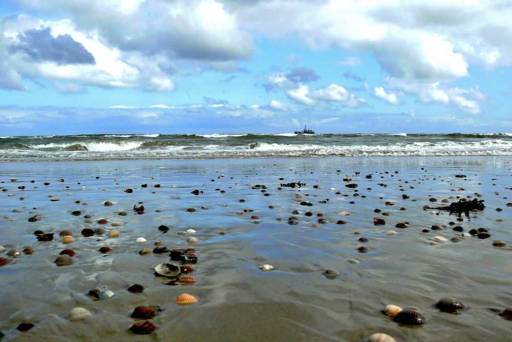 Borkum  -  Leben am Südstrand