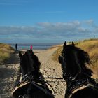 Borkum mit 2 PS