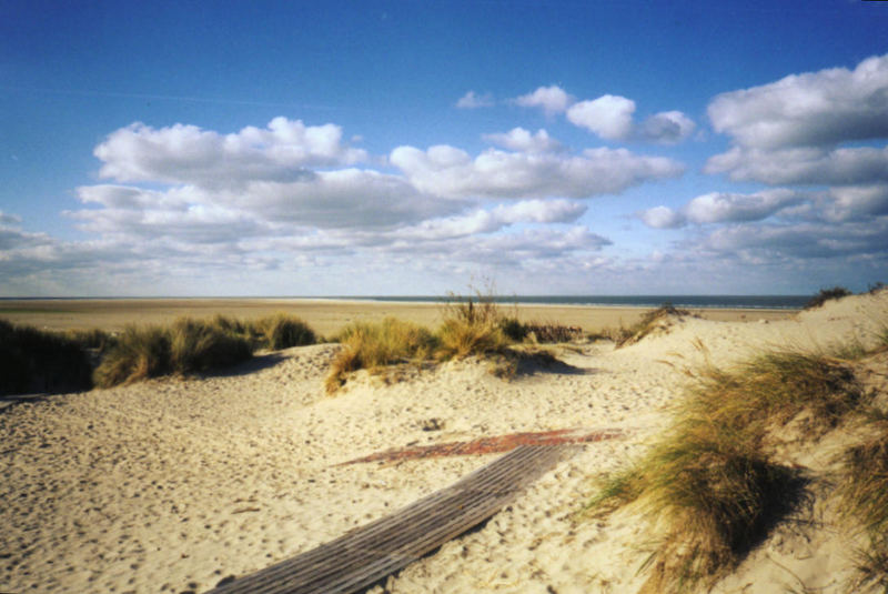 Borkum - natürliche Schönheit