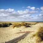 Borkum - natürliche Schönheit