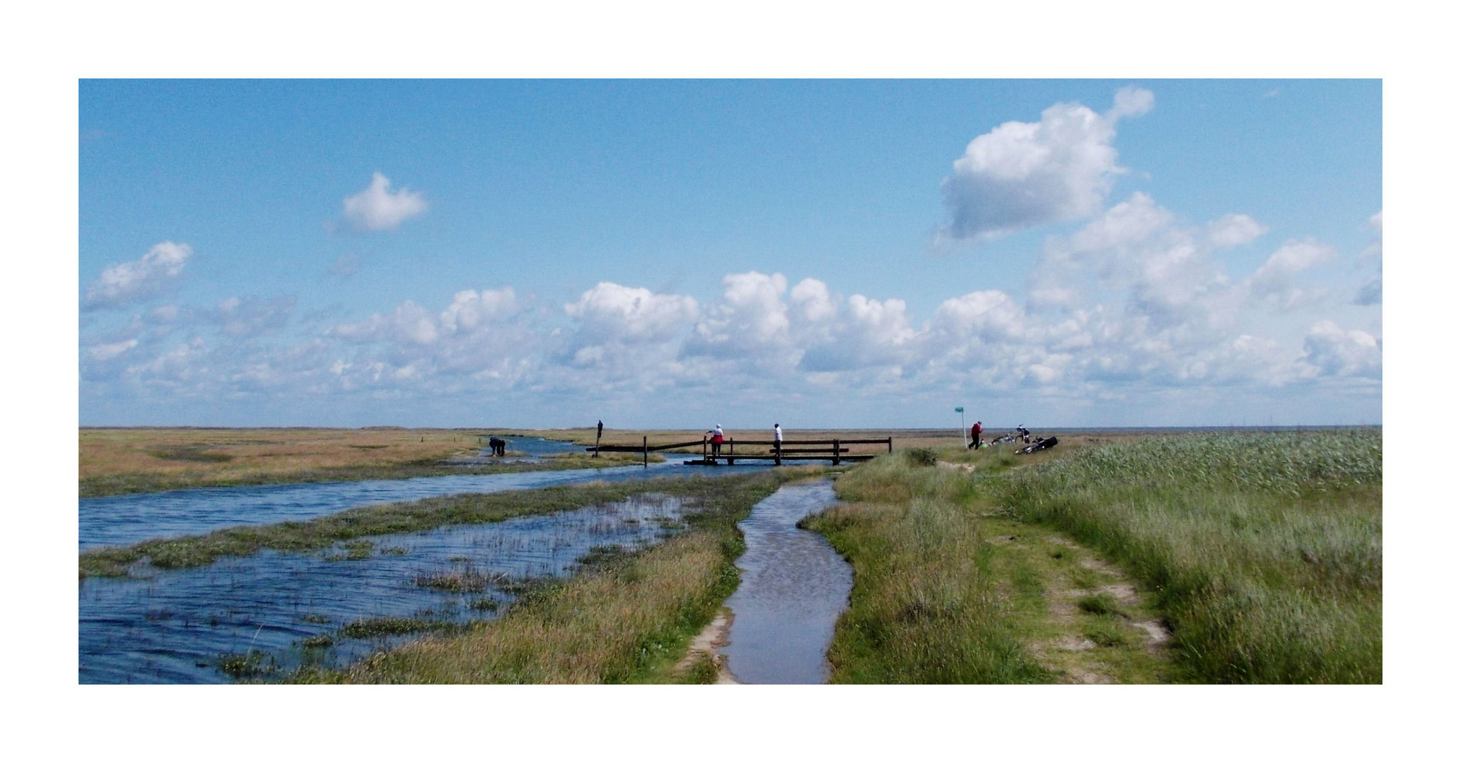 Borkum: Ostland / Hooge Hörn - Mein bevorzugtes "Wanderrevier"