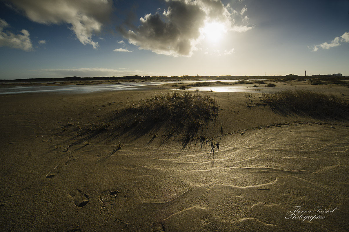 Borkum Sand