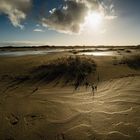 Borkum Sand