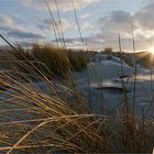 Borkum, Schneefrühling!