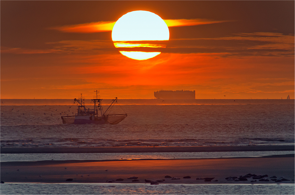 Borkum-Sehnsucht