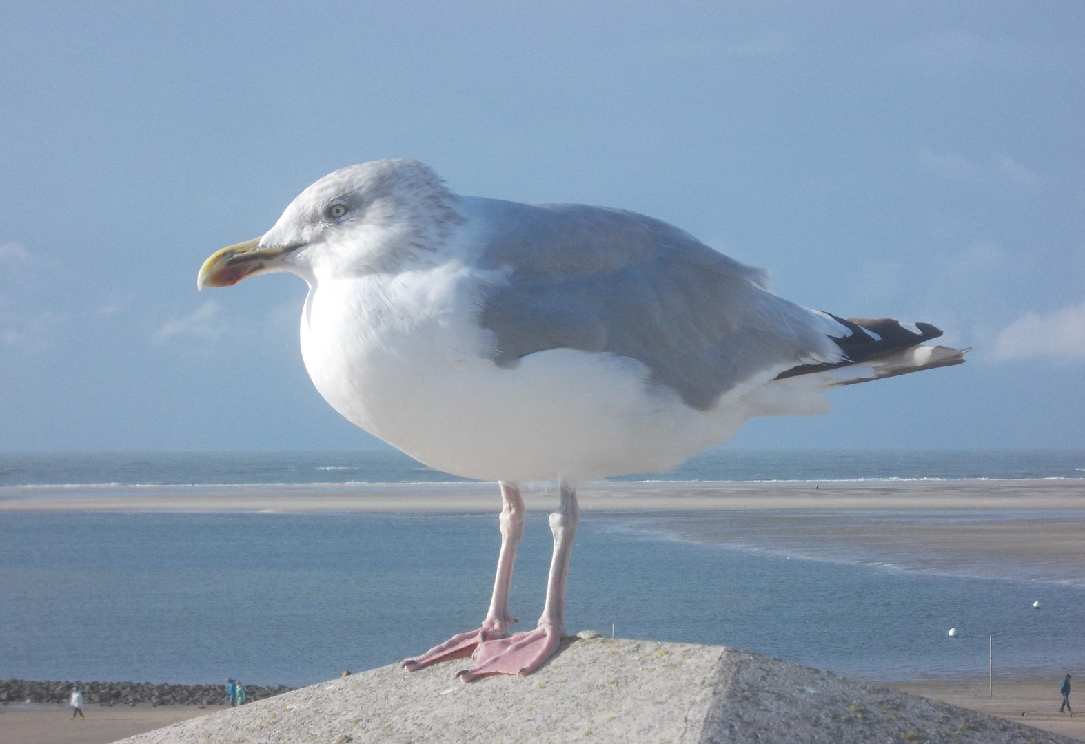 Borkum  -  Sie hat alles im Blick 