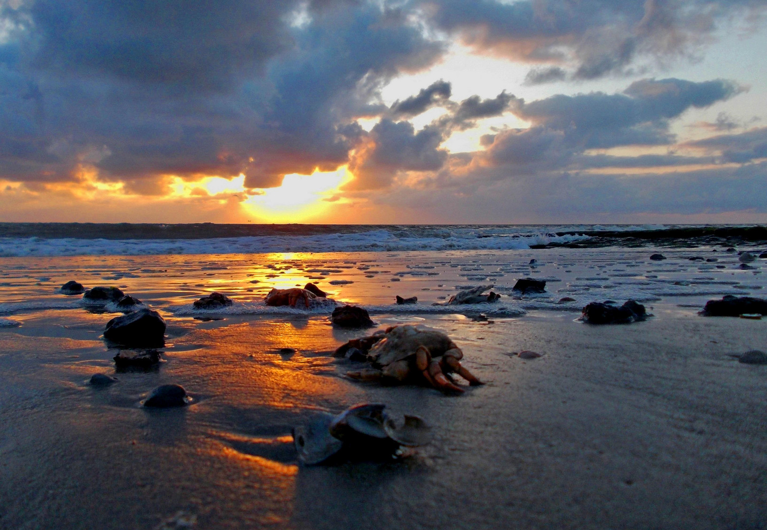 Borkum - Sonnenuntergang am Nordstrand