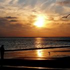 Borkum - Strandspaziergang kurz vor Sonnenuntergang