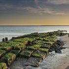 Borkum Sundown II