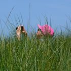 Borkum - Tarnung ist alles