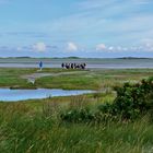 Borkum - Treffpunkt für die Wattwanderungen