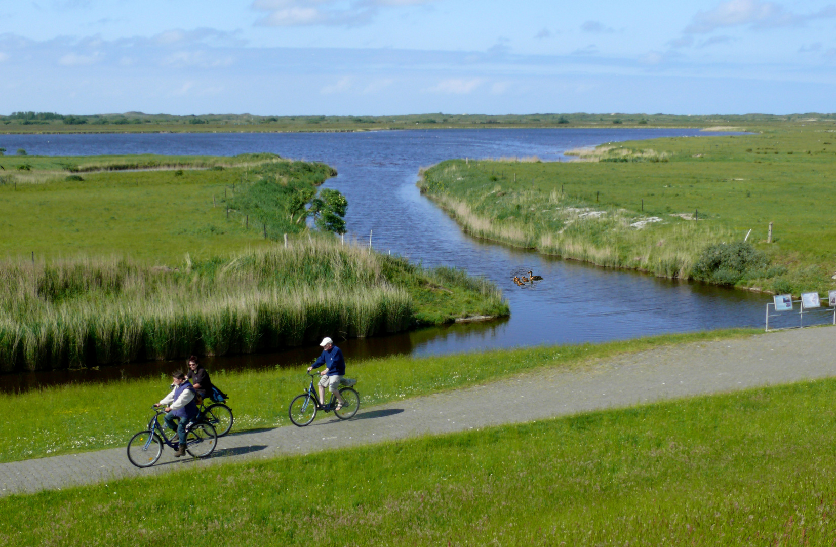 Borkum - Tüskendörsee