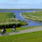 Borkum - Tüskendörsee