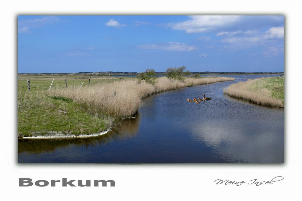 Borkum - Tüskendörsee - ein Ort der Stille und Erholung