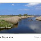 Borkum - Tüskendörsee - ein Ort der Stille und Erholung