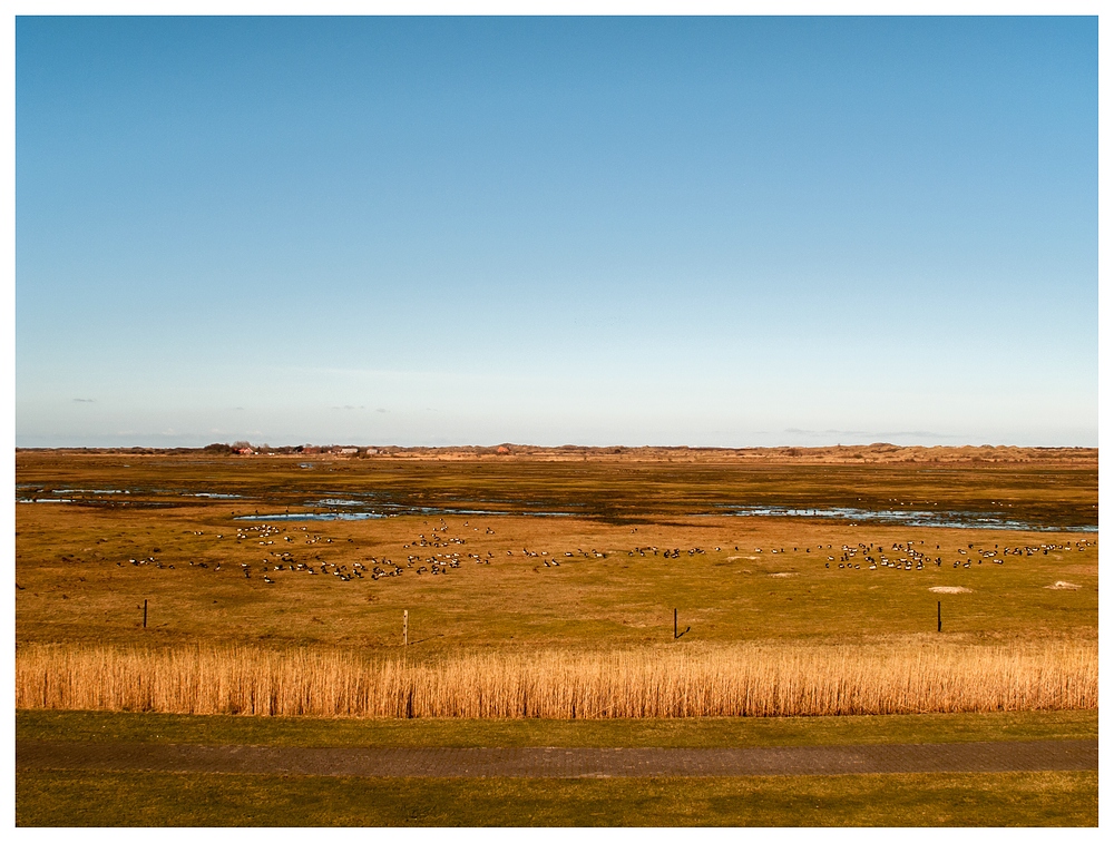 Borkum unter blauem Himmel