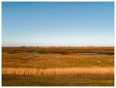 Borkum unter blauem Himmel