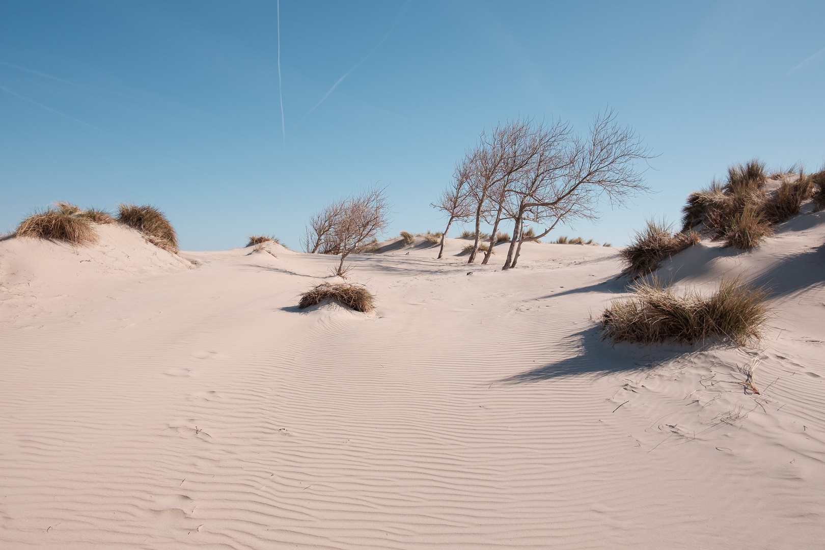 Borkum - W e i t e