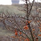 Borkum - Wasserturm hinter dem Sandorn...